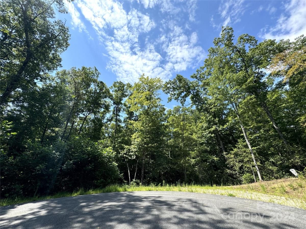 MLS #CAR4171480 image #0