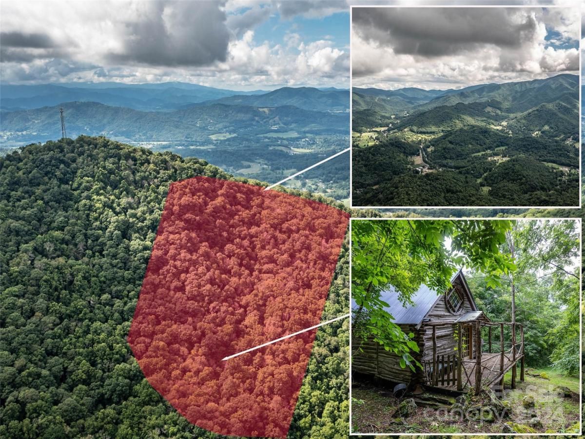 MLS #CAR4172455 image #0