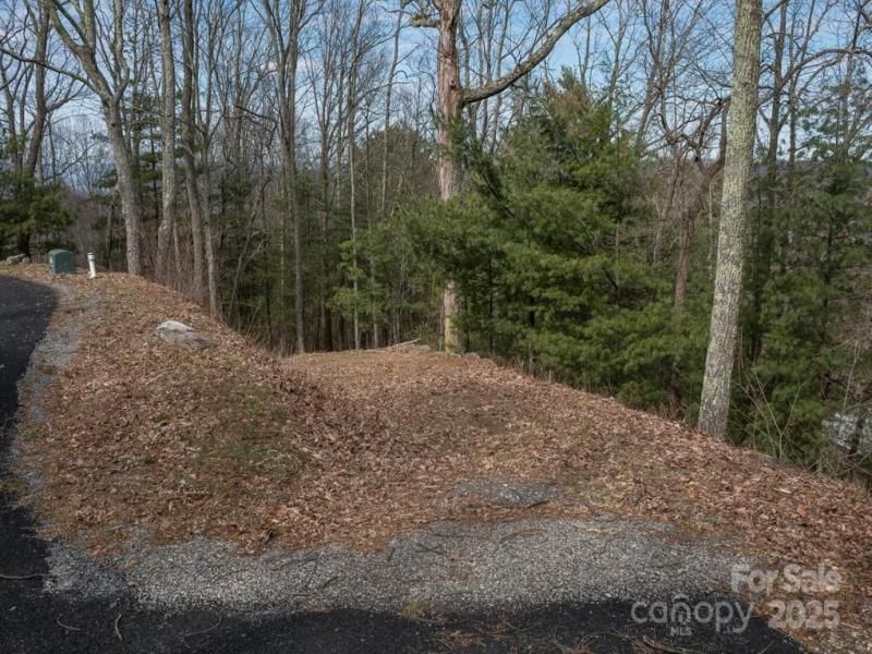 MLS #CAR4174748 image #0