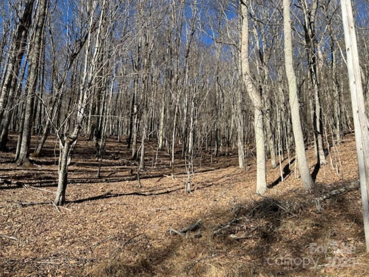 MLS #CAR4181133 image #0