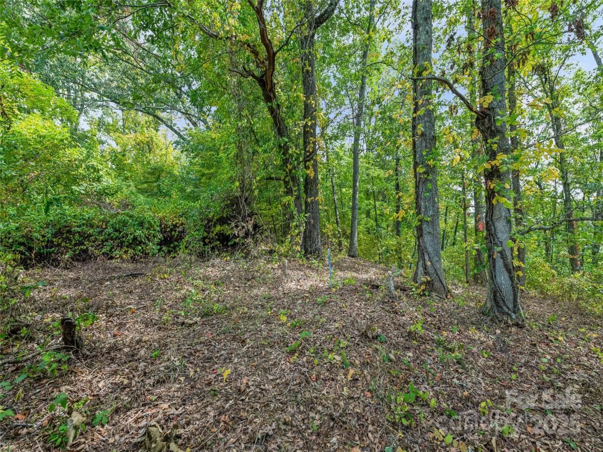 MLS #CAR4181319 image #0