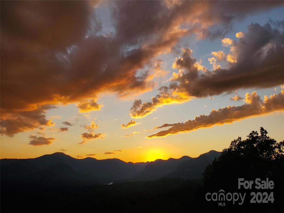 MLS #CAR4182206 image #0