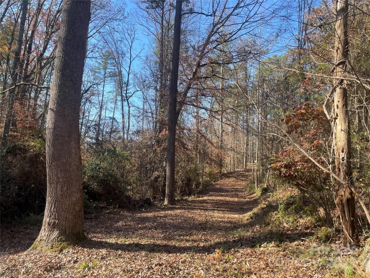 MLS #CAR4183067 image #0