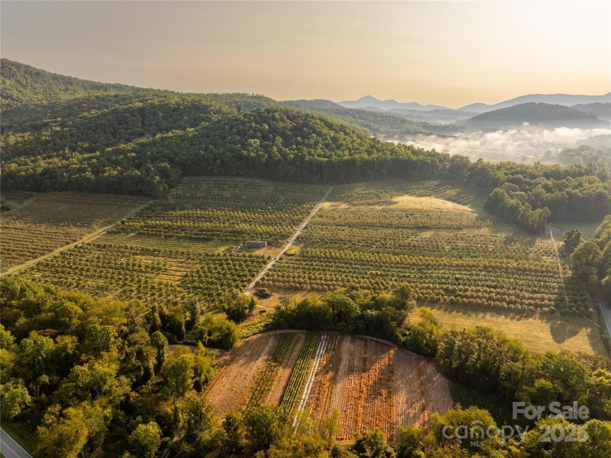 MLS #CAR4184843 image #0