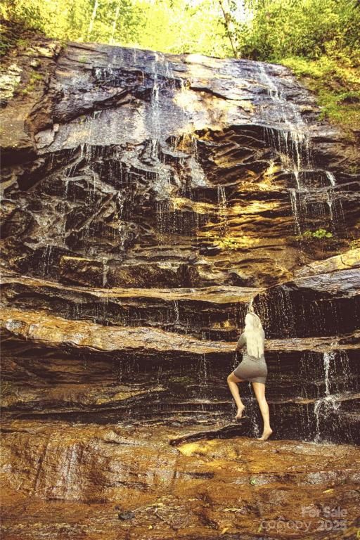 MLS #CAR4108589 image #0