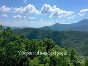 broker reciprocity