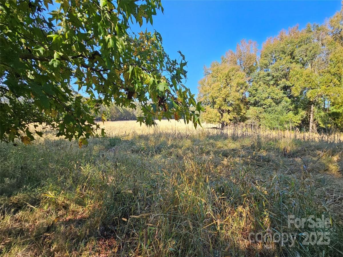 MLS #CAR4193853 image #0