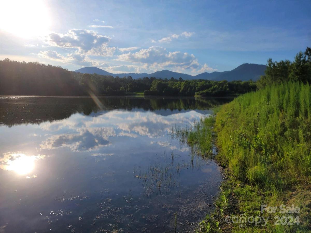 MLS #CAR4194751 image #0