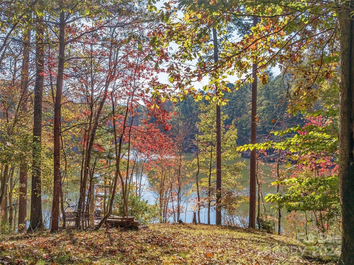 MLS #CAR4196333 image #0