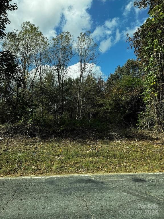 MLS #CAR4196512 image #0