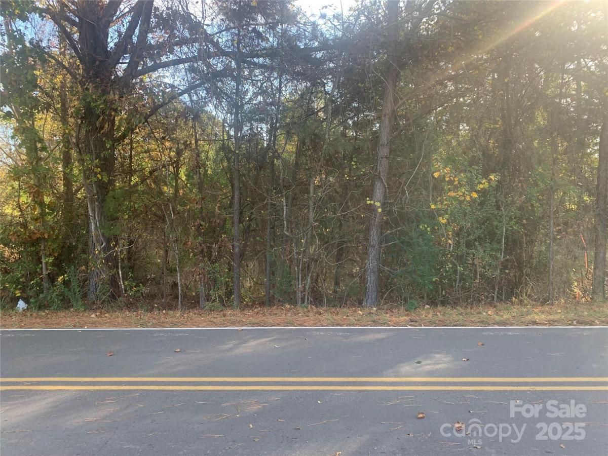 MLS #CAR4199266 image #0
