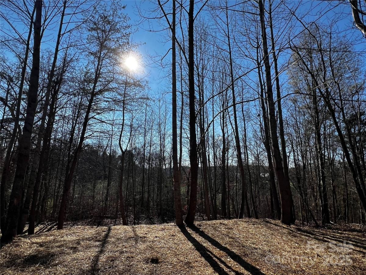 MLS #CAR4127748 image #0