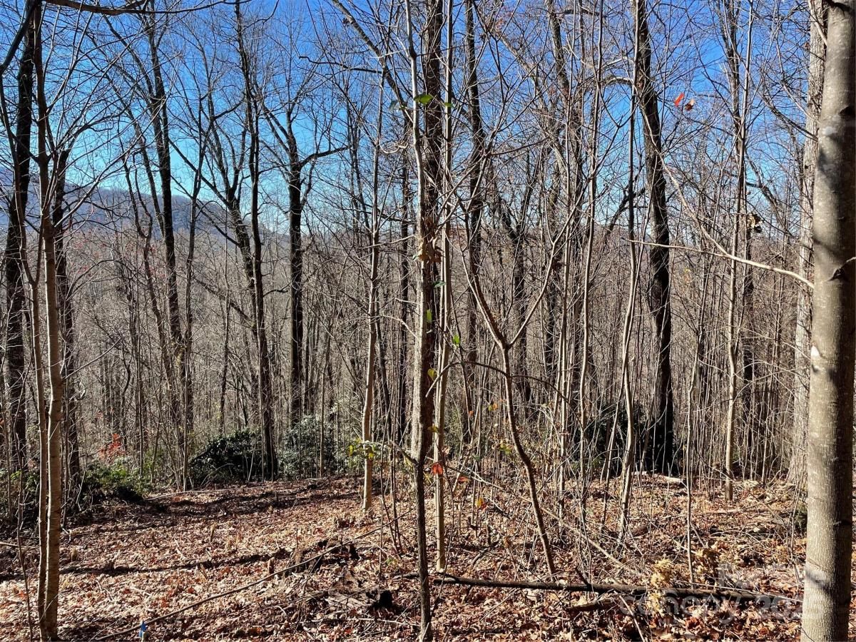 MLS #CAR4204238 image #0