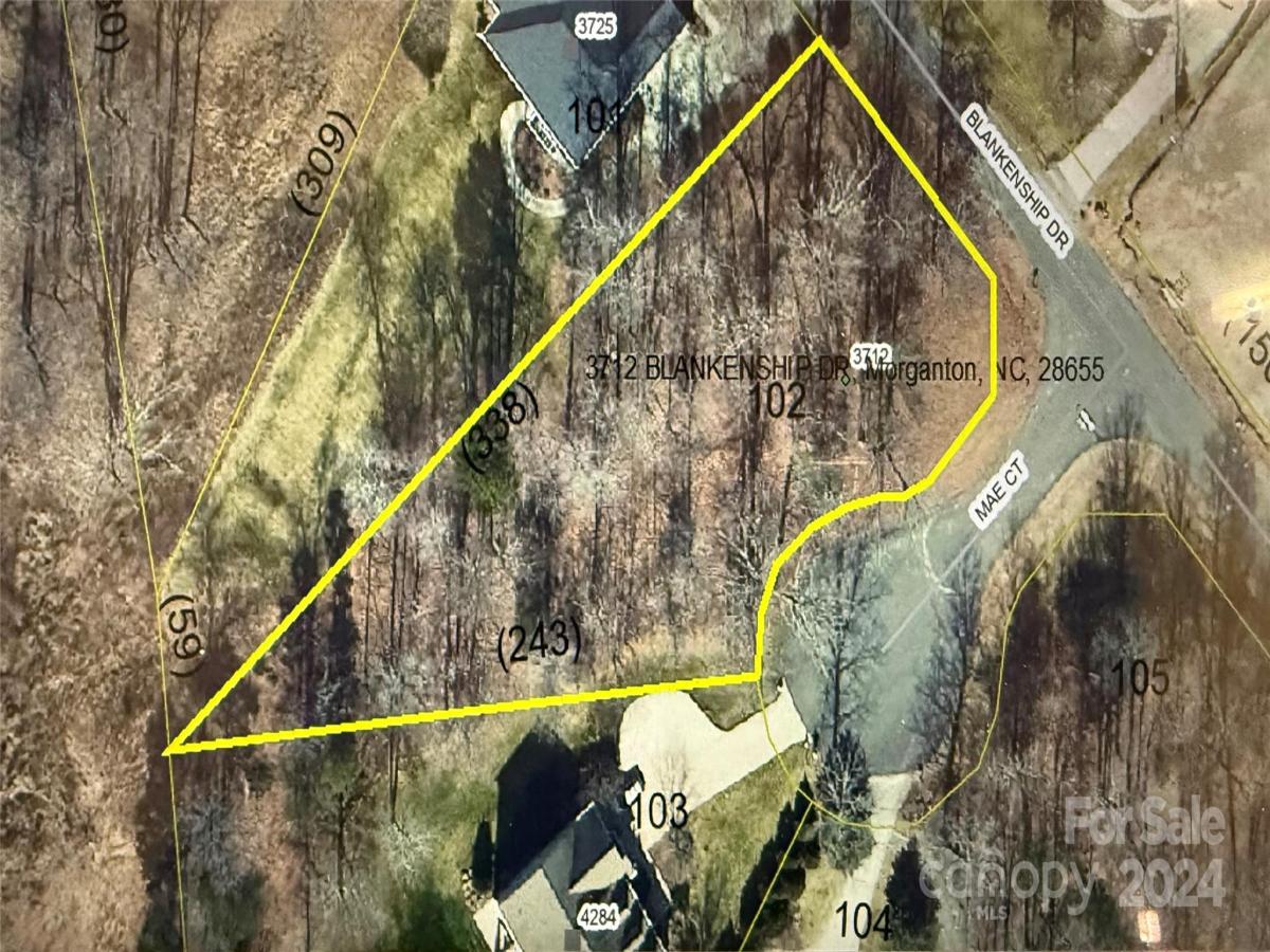 MLS #CAR4204479 image #0