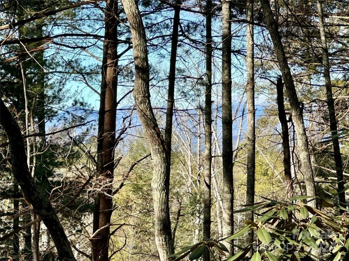 MLS #CAR4204592 image #0