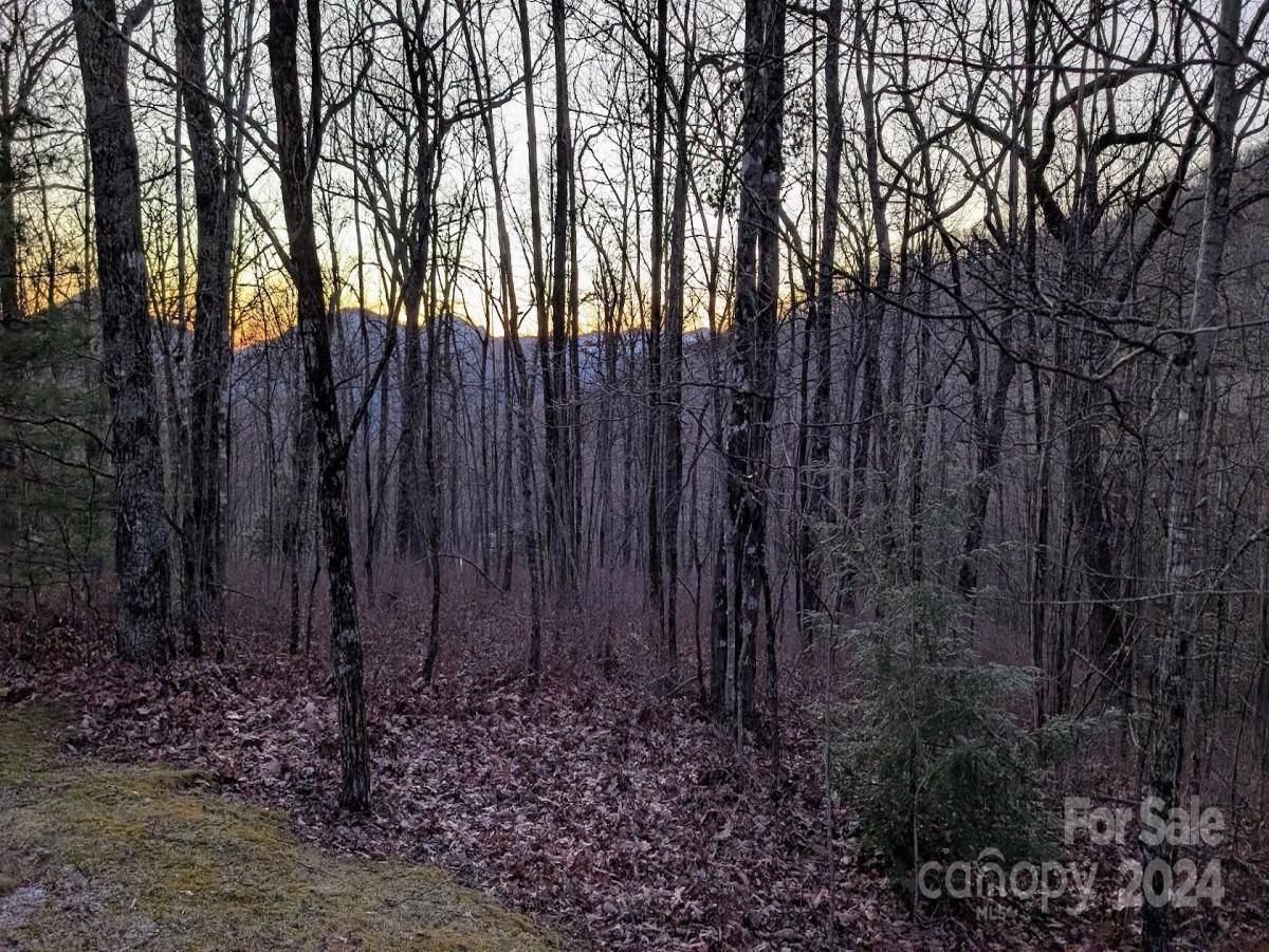 MLS #CAR4205753 image #0