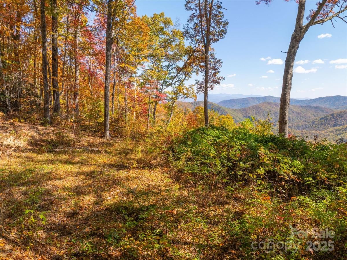 MLS #CAR4206029 image #0