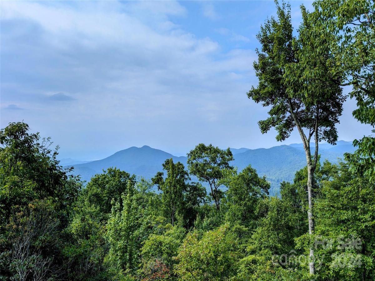 MLS #CAR4206137 image #0