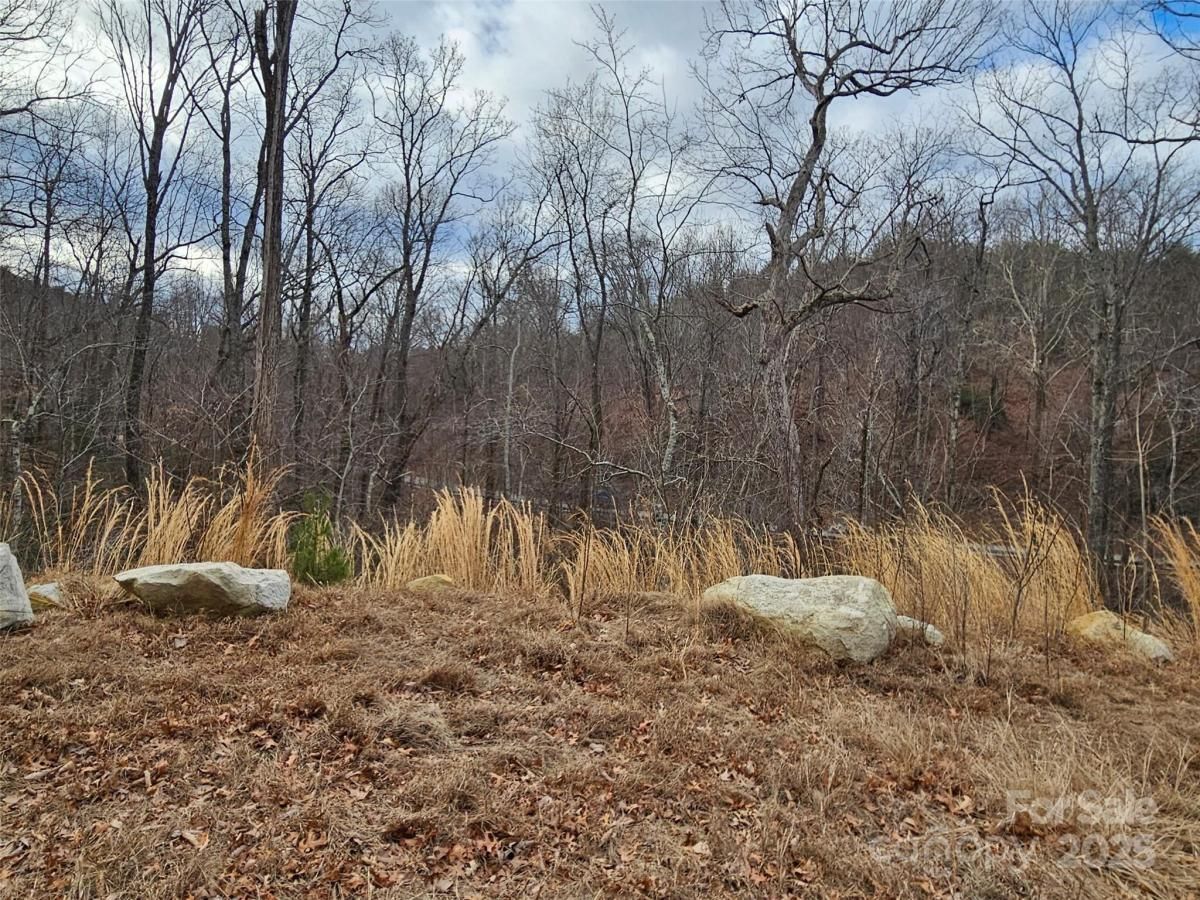 MLS #CAR4209684 image #0