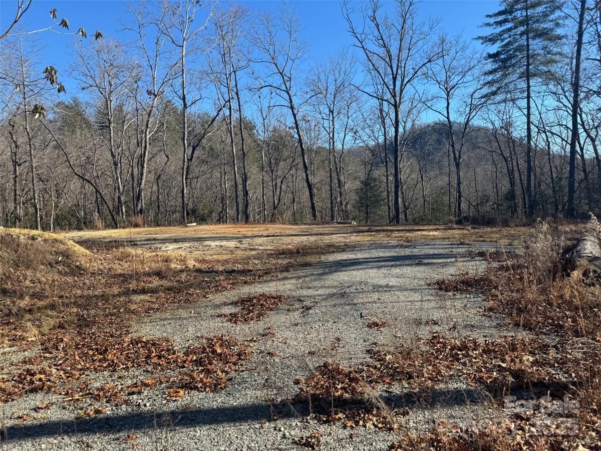 MLS #CAR4210228 image #0