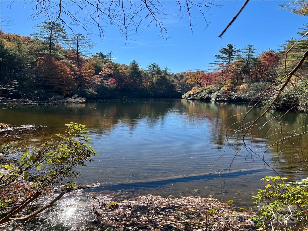 MLS #CAR4212045 image #0