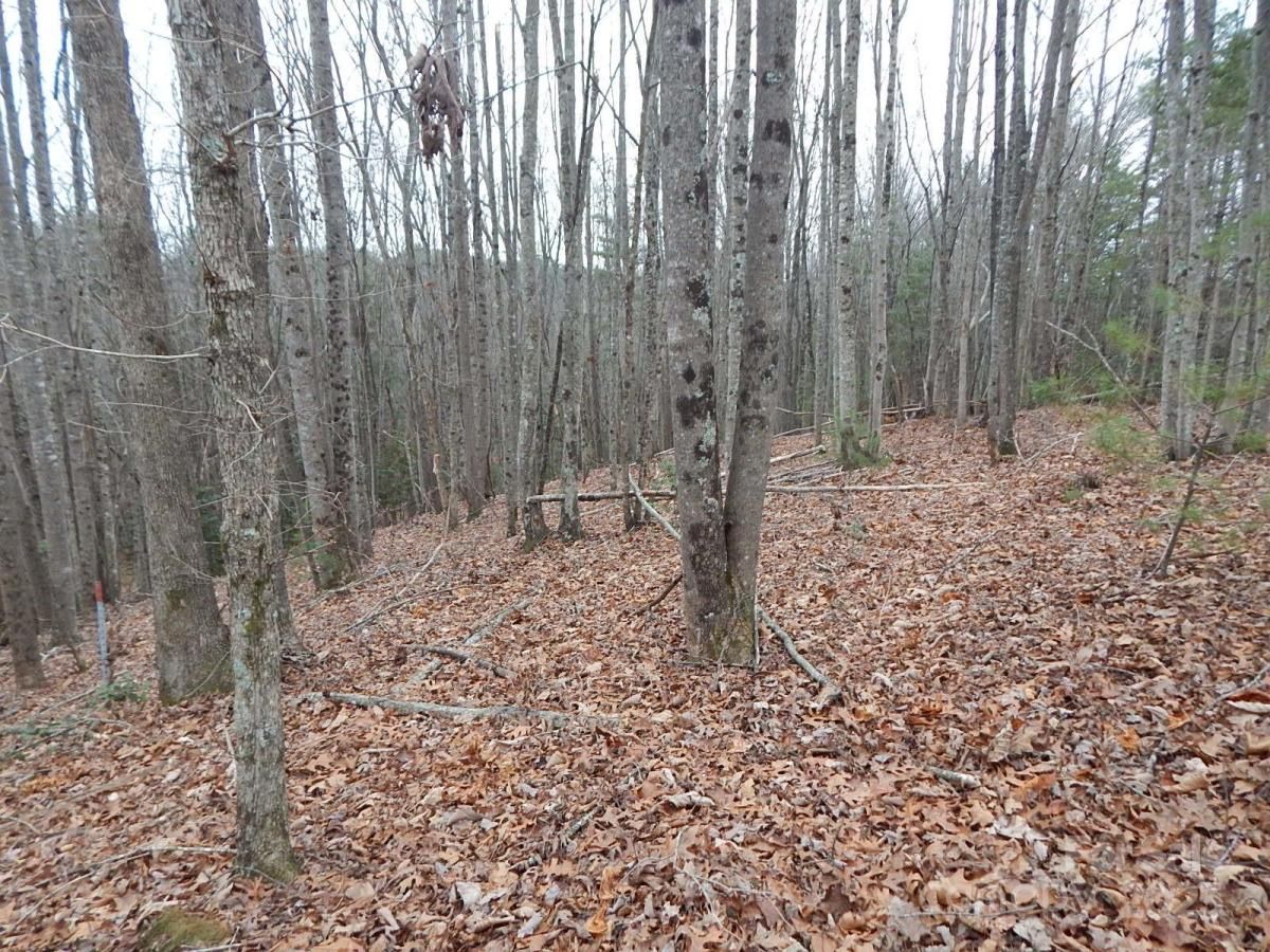 MLS #CAR4213090 image #0