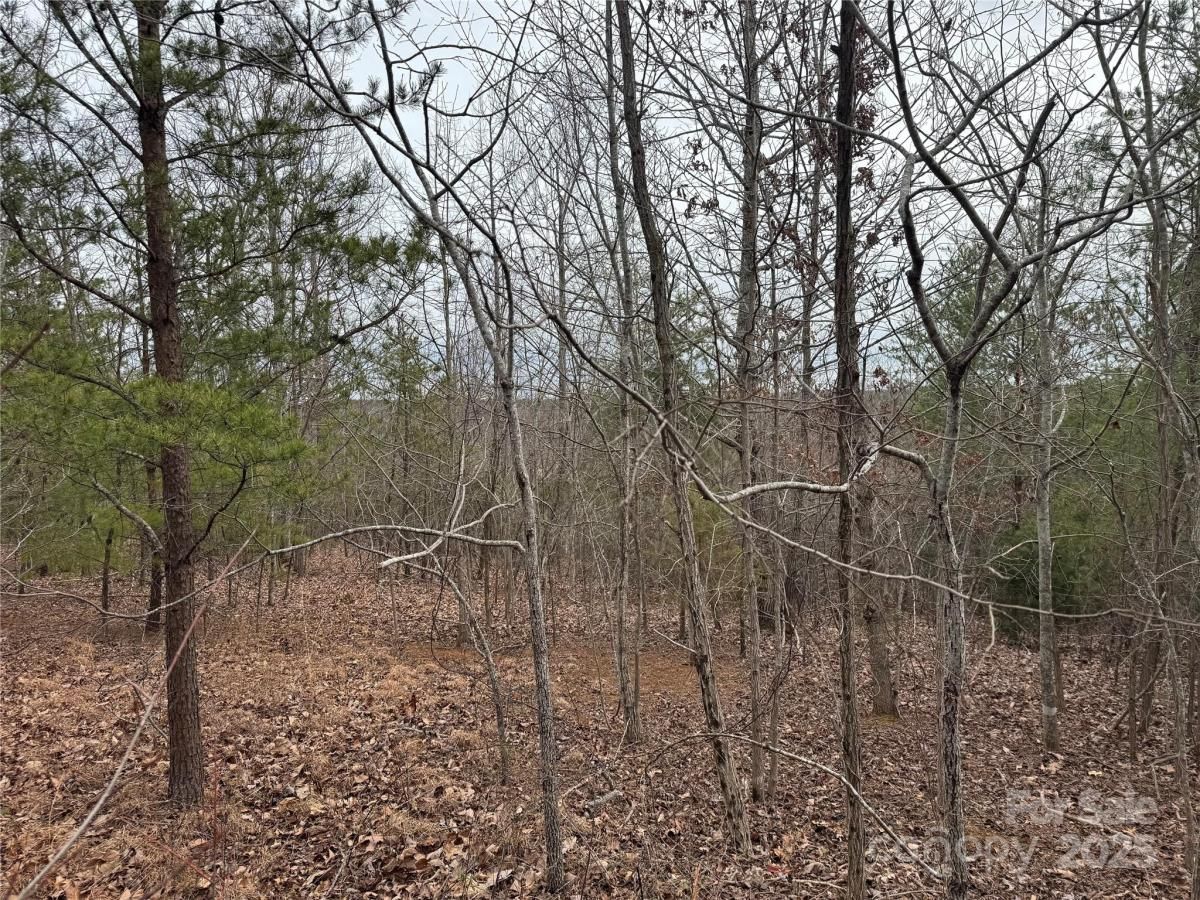 MLS #CAR4213326 image #0