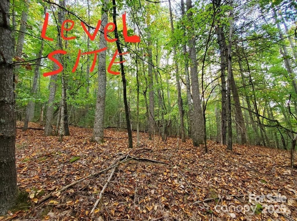 MLS #CAR4213510 image #0