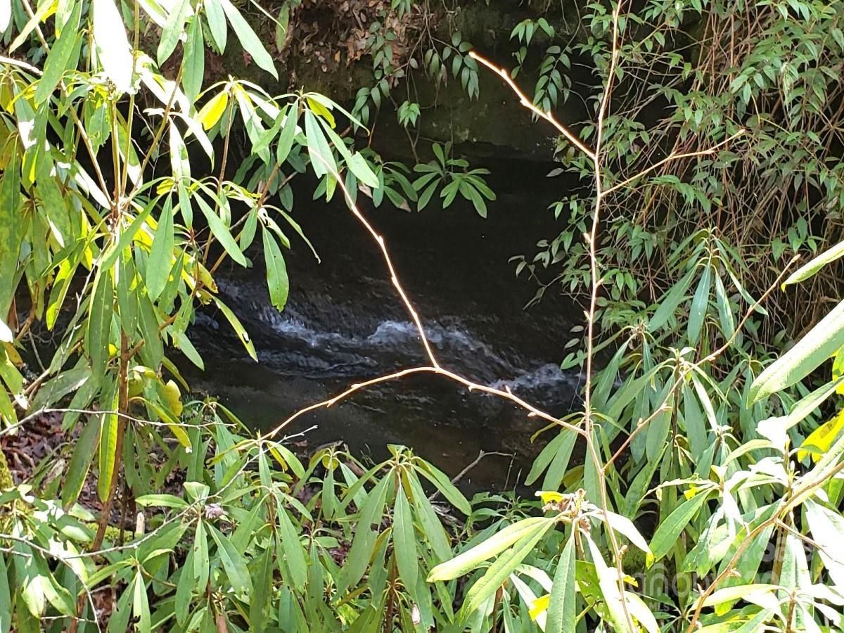 MLS #CAR4213947 image #0