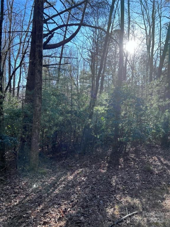 MLS #CAR4215924 image #0