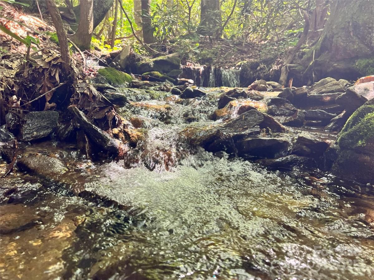 MLS #CAR4215929 image #0