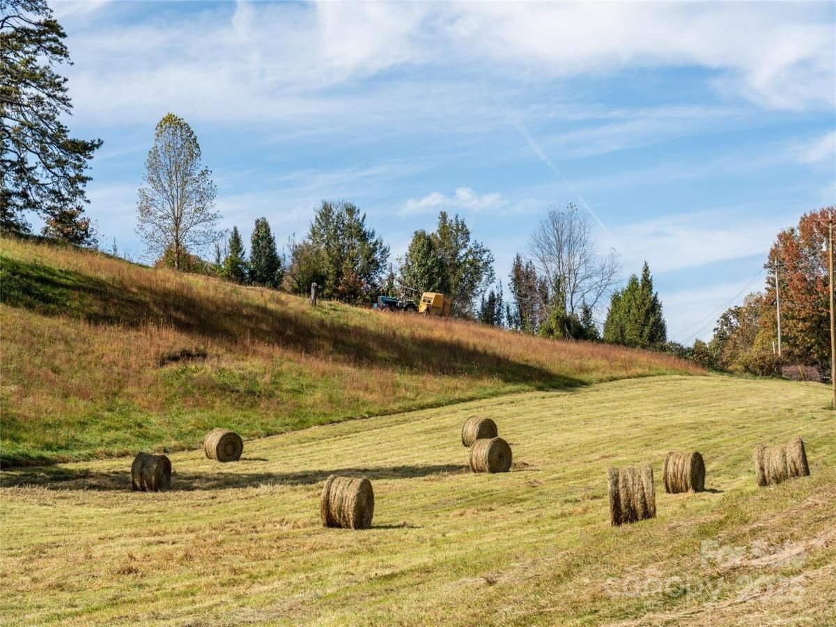 MLS #CAR4216270 image #0