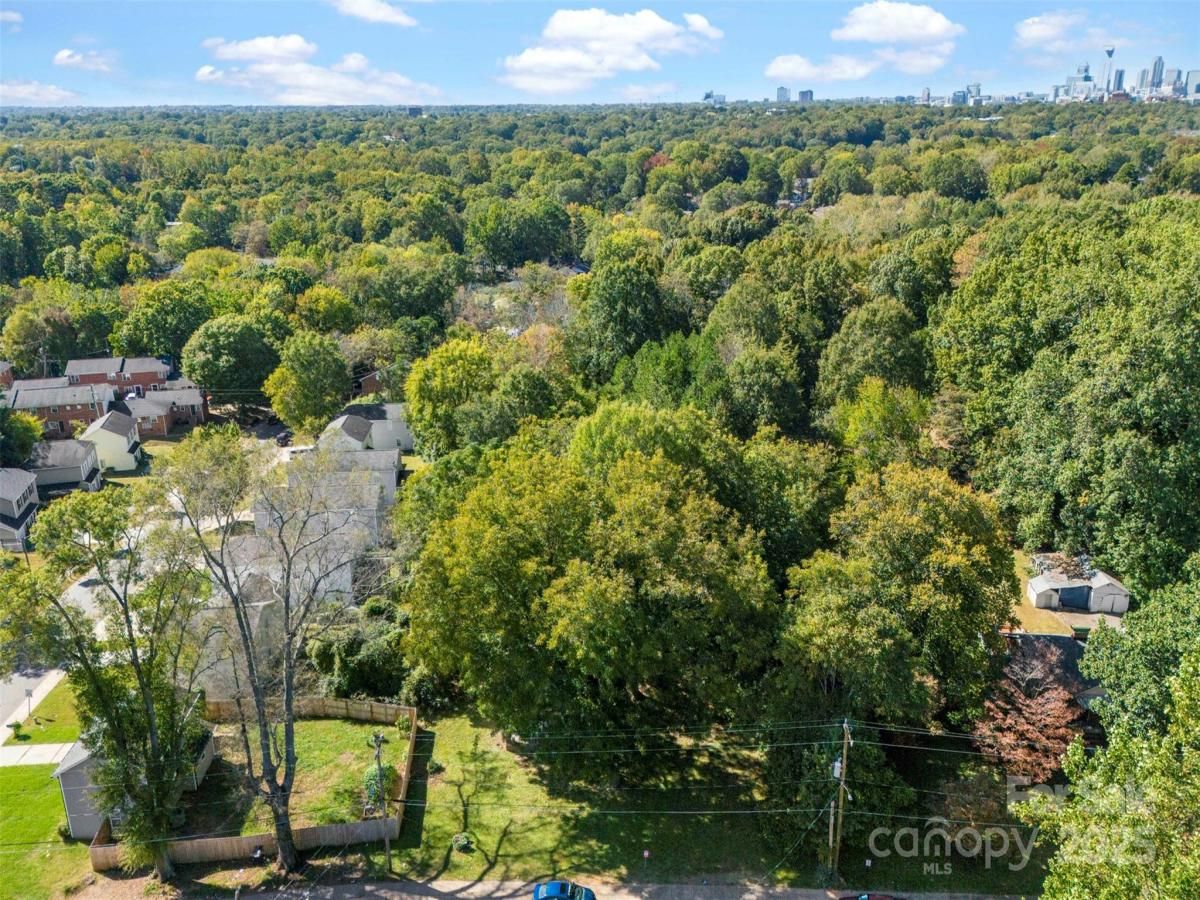 MLS #CAR4190106 image #0