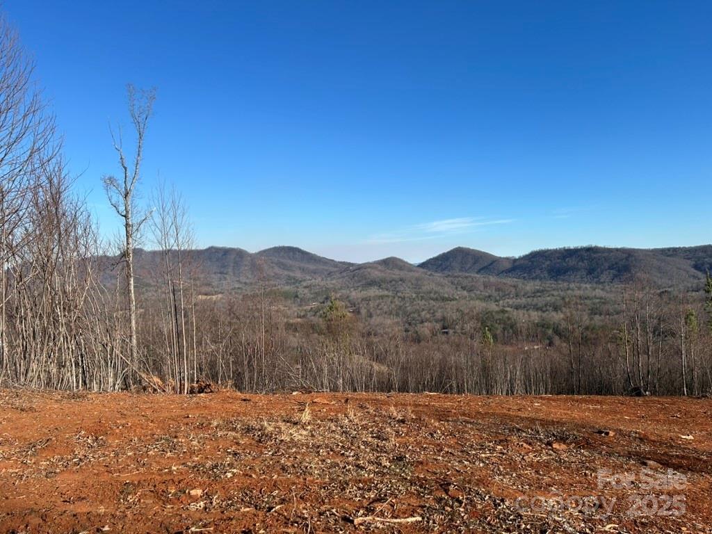 MLS #CAR4217381 image #0