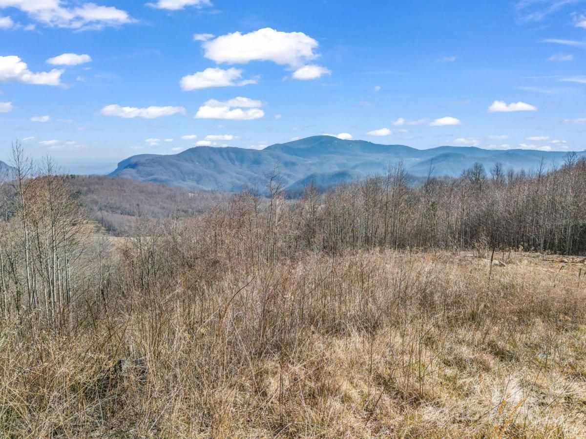 MLS #CAR4218216 image #0