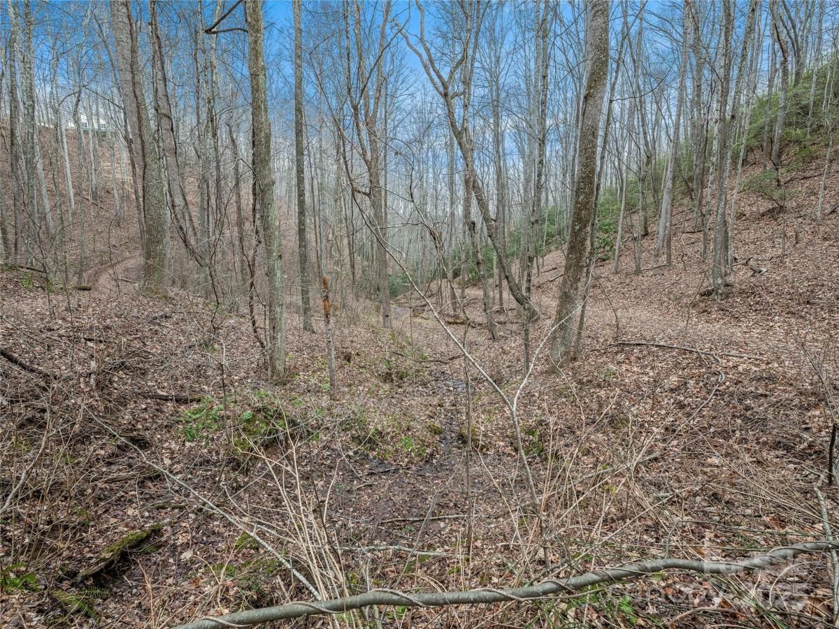 MLS #CAR4219061 image #0