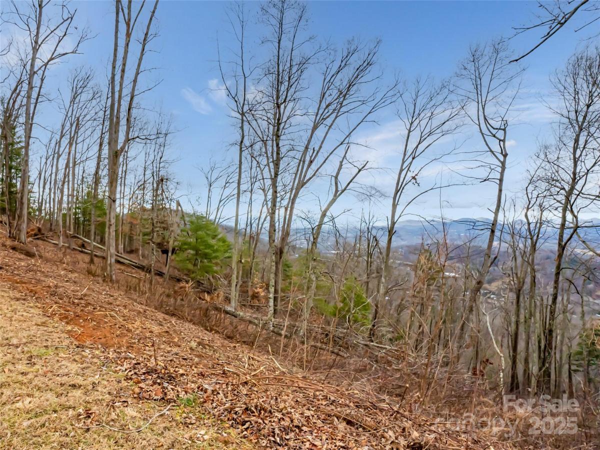 MLS #CAR4219636 image #0