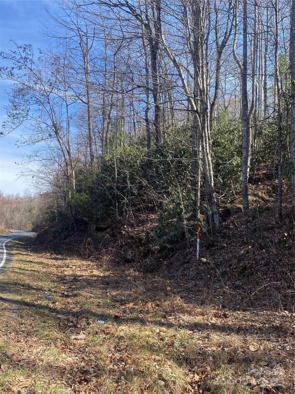 MLS #CAR4221378 image #0