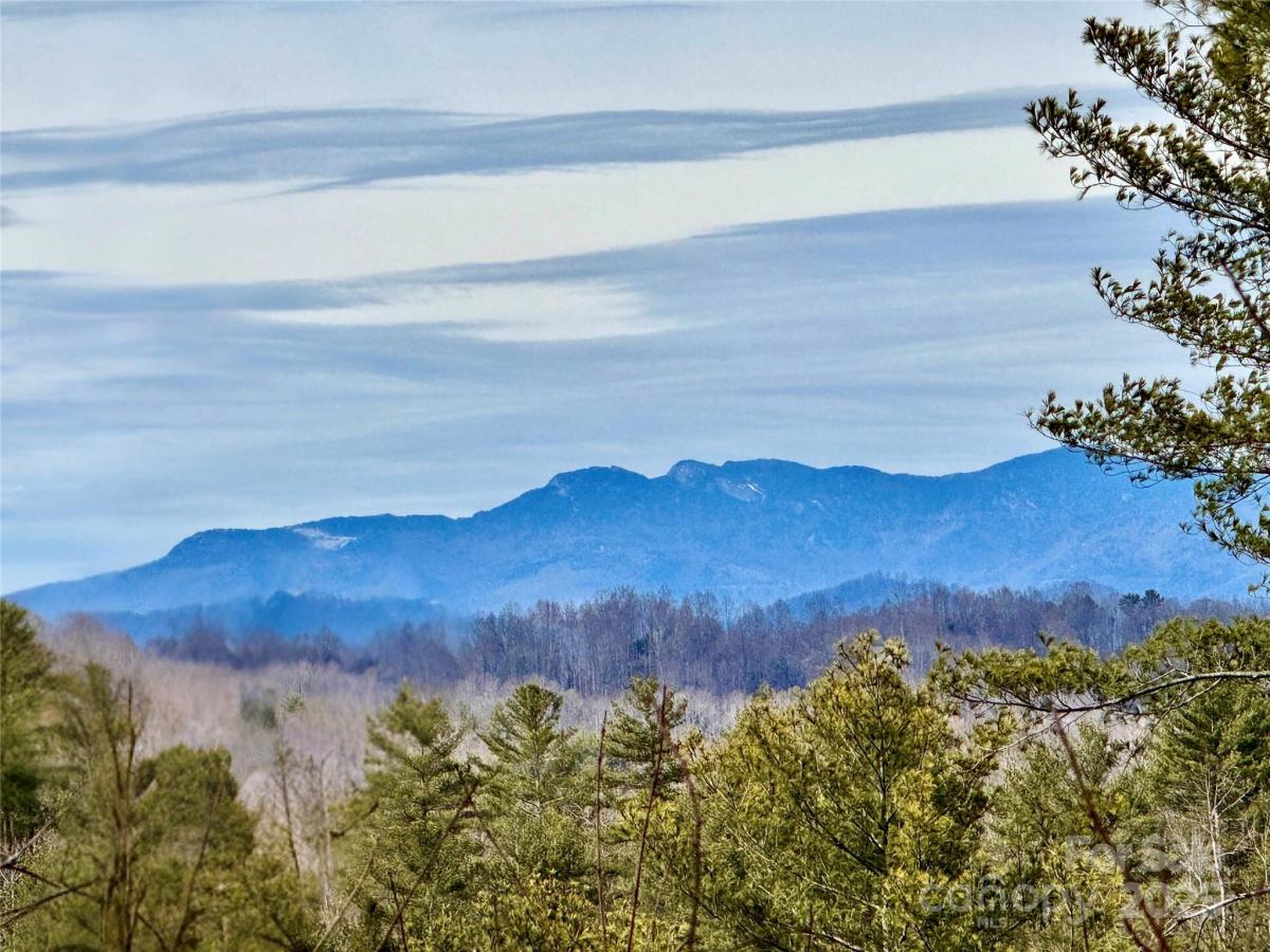 MLS #CAR4222808 image #0