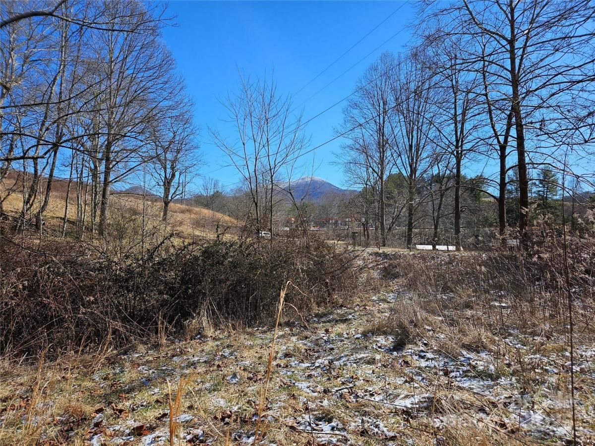 MLS #CAR4222955 image #0