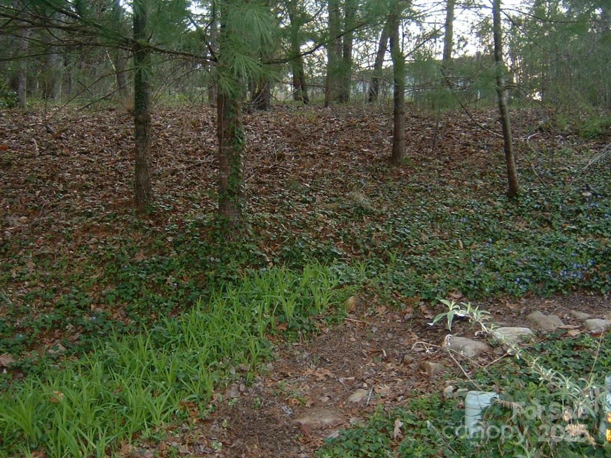 MLS #CAR4222959 image #0