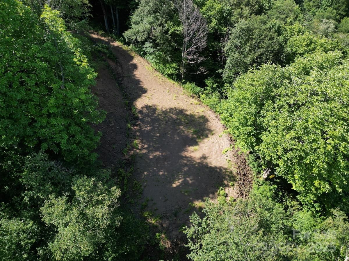 MLS #CAR4224320 image #0