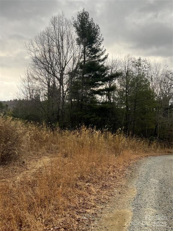 MLS #CAR4225076 image #0