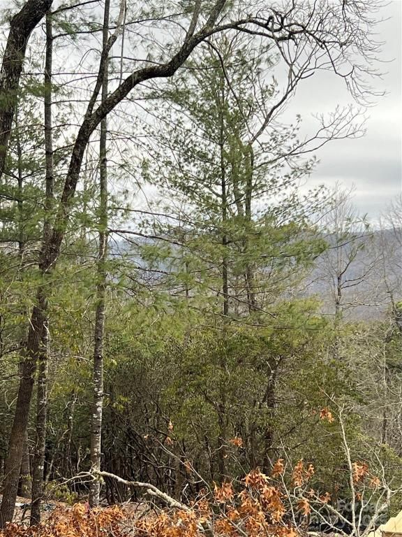 MLS #CAR4225079 image #0