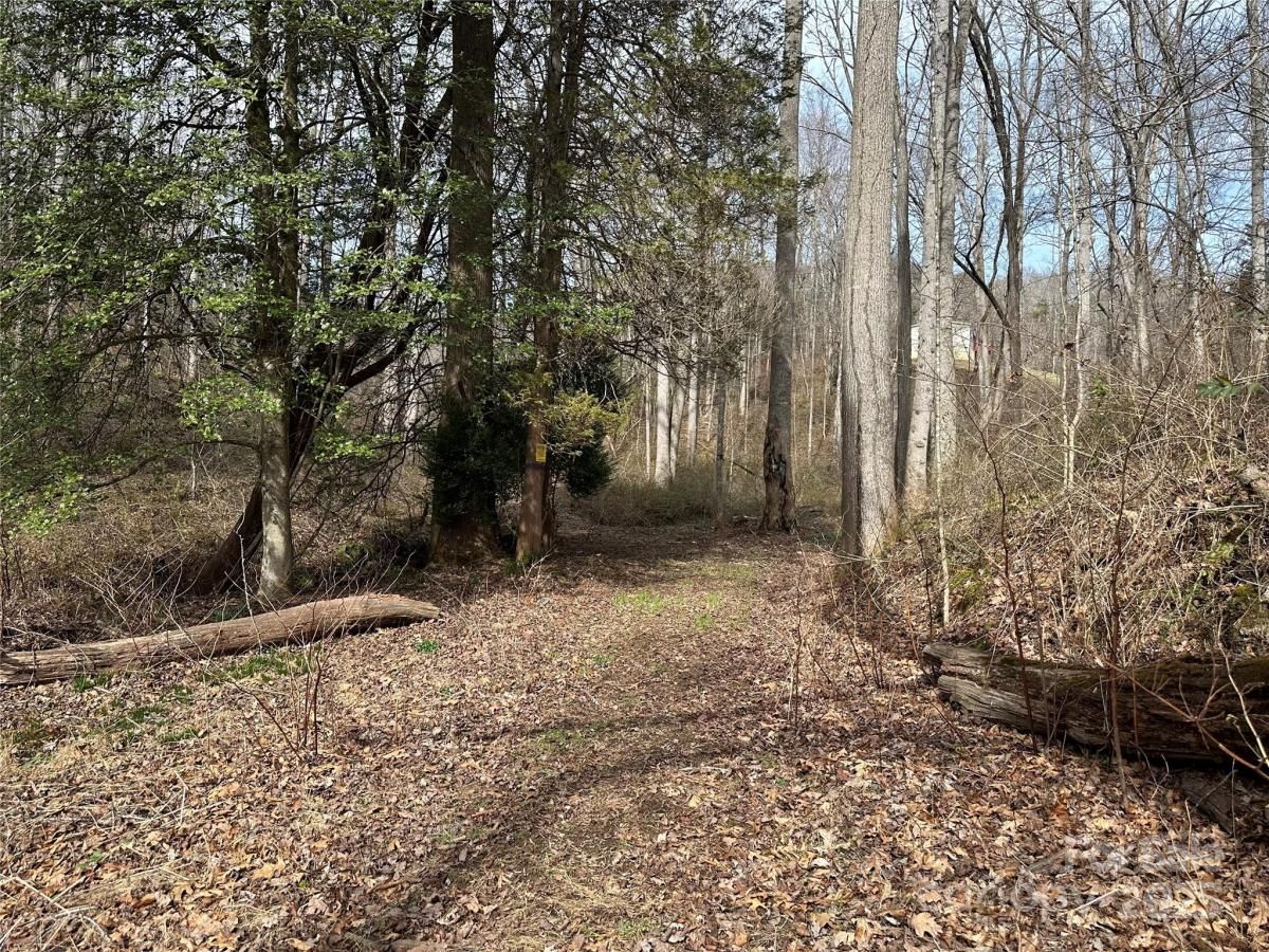 MLS #CAR4226021 image #0