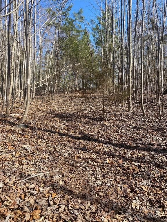 MLS #CAR4226334 image #0