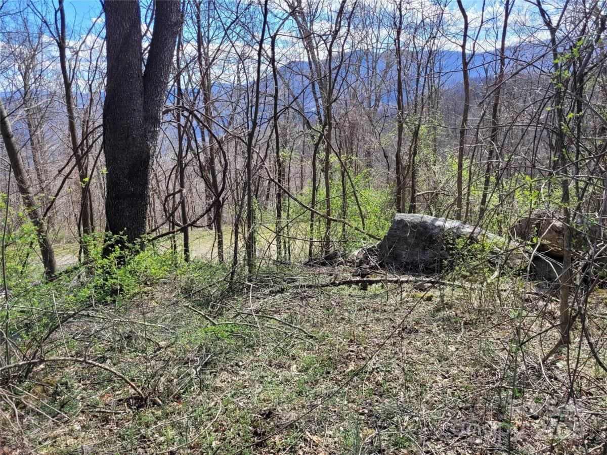 MLS #CAR4228087 image #0