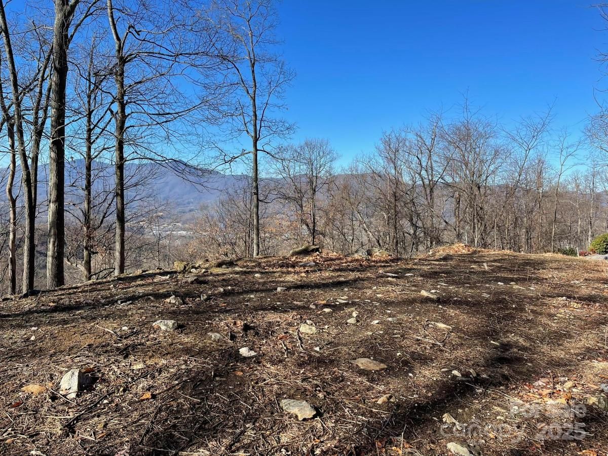 MLS #CAR4229189 image #0