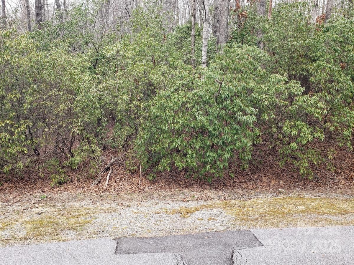 MLS #CAR4230486 image #0