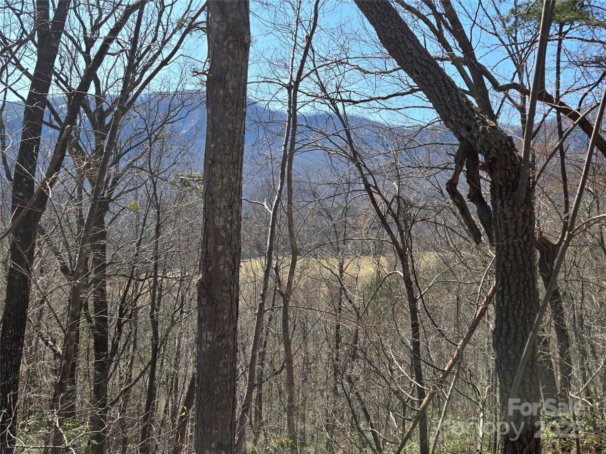 MLS #CAR4233392 image #0